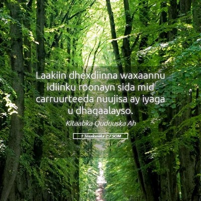 Picture 05 - 1 Tesaloniika 2:7 SOM - Laakiin dhexdiinna waxaannu idiinku roonayn sida - Bible Verse Picture