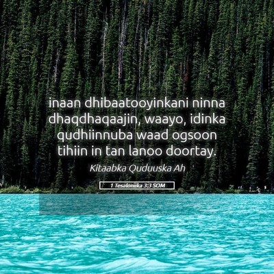 Picture 05 - 1 Tesaloniika 3:3 SOM - inaan dhibaatooyinkani ninna dhaqdhaqaajin, - Bible Verse Picture
