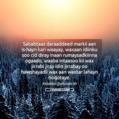 Picture 05 - 1 Tesaloniika 3:5 SOM - Sababtaas daraaddeed markii aan is-hayn kari - Bible Verse Picture