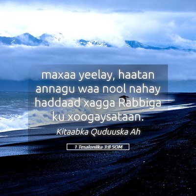 Picture 05 - 1 Tesaloniika 3:8 SOM - maxaa yeelay, haatan annagu waa nool nahay - Bible Verse Picture