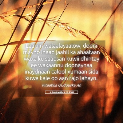 Picture 05 - 1 Tesaloniika 4:13 SOM - Laakiin walaalayaalow, dooni mayno inaad jaahil - Bible Verse Picture