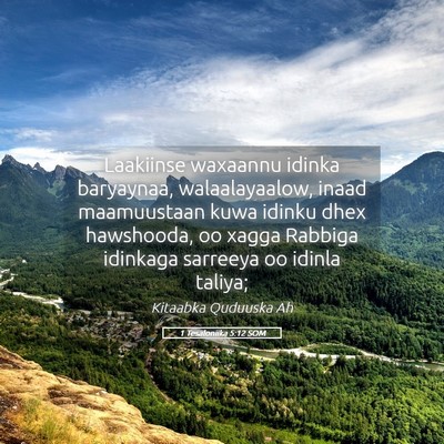 Picture 05 - 1 Tesaloniika 5:12 SOM - Laakiinse waxaannu idinka baryaynaa, - Bible Verse Picture