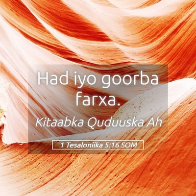 Picture 05 - 1 Tesaloniika 5:16 SOM - Had iyo goorba - Bible Verse Picture
