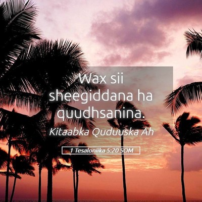 Picture 05 - 1 Tesaloniika 5:20 SOM - Wax sii sheegiddana ha - Bible Verse Picture