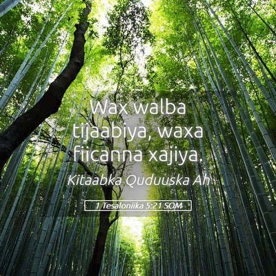 Picture 05 - 1 Tesaloniika 5:21 SOM - Wax walba tijaabiya, waxa fiicanna - Bible Verse Picture