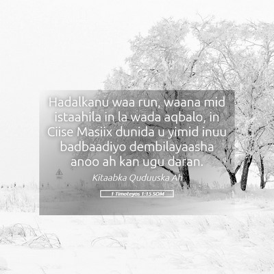 Picture 05 - 1 Timoteyos 1:15 SOM - Hadalkanu waa run, waana mid istaahila in la wada - Bible Verse Picture