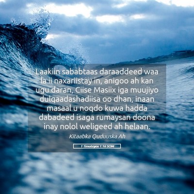 Picture 05 - 1 Timoteyos 1:16 SOM - Laakiin sababtaas daraaddeed waa la ii - Bible Verse Picture