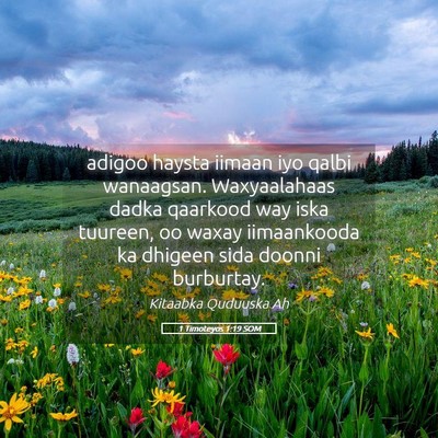 Picture 05 - 1 Timoteyos 1:19 SOM - adigoo haysta iimaan iyo qalbi wanaagsan. - Bible Verse Picture