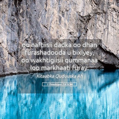 Picture 05 - 1 Timoteyos 2:6 SOM - oo naftiisii dadka oo dhan furashadooda u - Bible Verse Picture