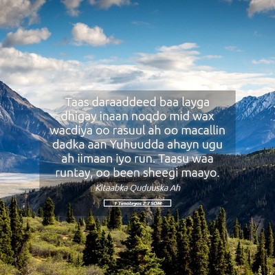 Picture 05 - 1 Timoteyos 2:7 SOM - Taas daraaddeed baa layga dhigay inaan noqdo mid - Bible Verse Picture