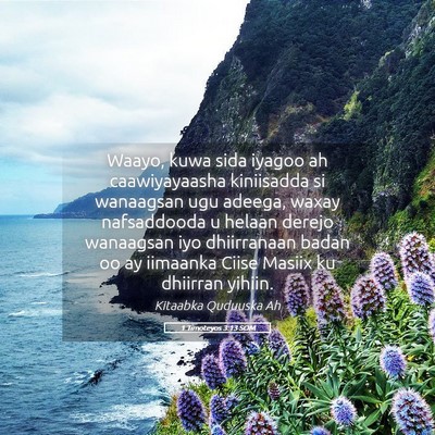 Picture 05 - 1 Timoteyos 3:13 SOM - Waayo, kuwa sida iyagoo ah caawiyayaasha - Bible Verse Picture
