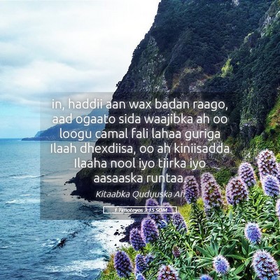 Picture 05 - 1 Timoteyos 3:15 SOM - in, haddii aan wax badan raago, aad ogaato sida - Bible Verse Picture