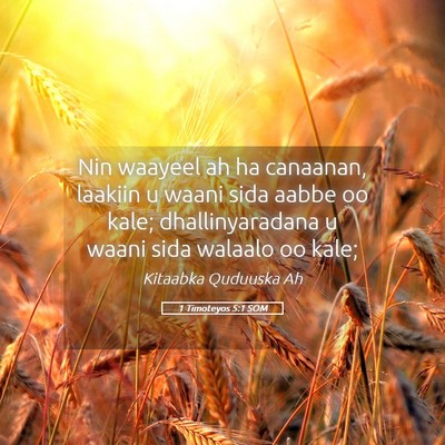 Picture 05 - 1 Timoteyos 5:1 SOM - Nin waayeel ah ha canaanan, laakiin u waani sida - Bible Verse Picture