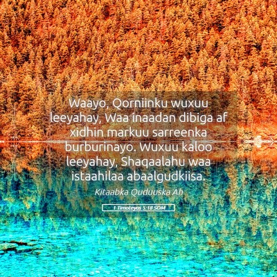 Picture 05 - 1 Timoteyos 5:18 SOM - Waayo, Qorniinku wuxuu leeyahay, Waa inaadan - Bible Verse Picture