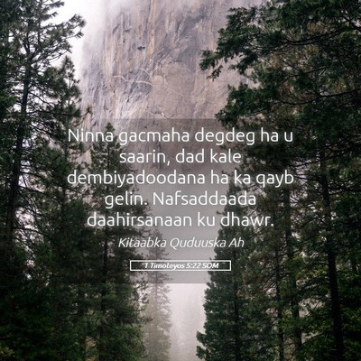 Picture 05 - 1 Timoteyos 5:22 SOM - Ninna gacmaha degdeg ha u saarin, dad kale - Bible Verse Picture