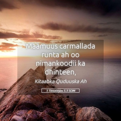 Picture 05 - 1 Timoteyos 5:3 SOM - Maamuus carmallada runta ah oo nimankoodii ka - Bible Verse Picture