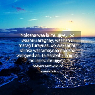 Picture 05 - 1 Yooxanaa 1:2 SOM - Nolosha waa la muujiyey, oo waannu aragnay, - Bible Verse Picture