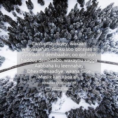 Picture 05 - 1 Yooxanaa 2:1 SOM - Carruurtaydiiyey, waxaan waxyaalahan idiinku soo - Bible Verse Picture