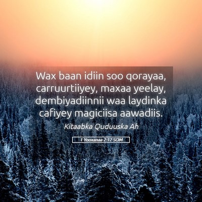Picture 05 - 1 Yooxanaa 2:12 SOM - Wax baan idiin soo qorayaa, carruurtiiyey, maxaa - Bible Verse Picture