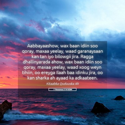 Picture 05 - 1 Yooxanaa 2:14 SOM - Aabbayaashow, wax baan idiin soo qoray, maxaa - Bible Verse Picture