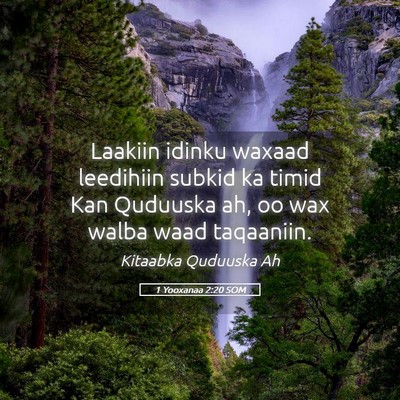 Picture 05 - 1 Yooxanaa 2:20 SOM - Laakiin idinku waxaad leedihiin subkid ka timid - Bible Verse Picture