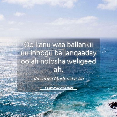 Picture 05 - 1 Yooxanaa 2:25 SOM - Oo kanu waa ballankii uu inoogu ballanqaaday oo - Bible Verse Picture