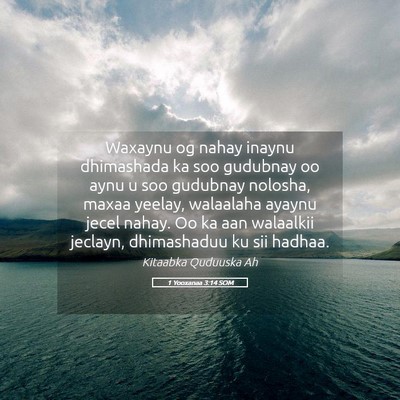 Picture 05 - 1 Yooxanaa 3:14 SOM - Waxaynu og nahay inaynu dhimashada ka soo - Bible Verse Picture