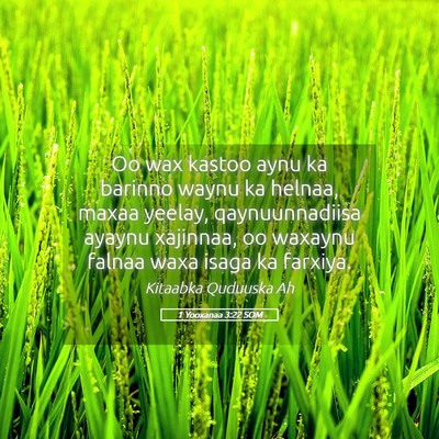 Picture 05 - 1 Yooxanaa 3:22 SOM - Oo wax kastoo aynu ka barinno waynu ka helnaa, - Bible Verse Picture