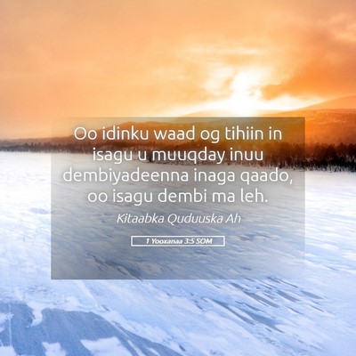 Picture 05 - 1 Yooxanaa 3:5 SOM - Oo idinku waad og tihiin in isagu u muuqday inuu - Bible Verse Picture