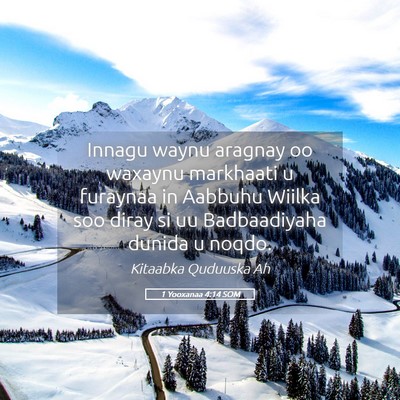 Picture 05 - 1 Yooxanaa 4:14 SOM - Innagu waynu aragnay oo waxaynu markhaati u - Bible Verse Picture