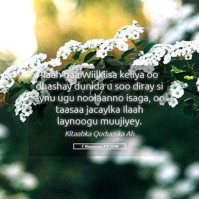 Picture 05 - 1 Yooxanaa 4:9 SOM - Ilaah baa Wiilkiisa keliya oo dhashay dunida u - Bible Verse Picture