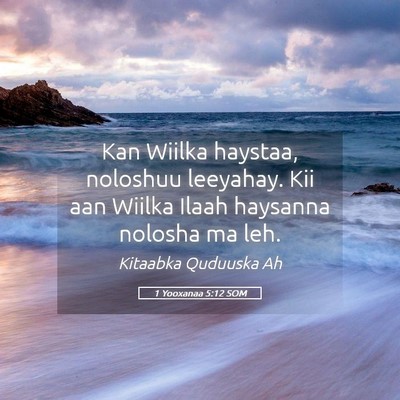 Picture 05 - 1 Yooxanaa 5:12 SOM - Kan Wiilka haystaa, noloshuu leeyahay. Kii aan - Bible Verse Picture
