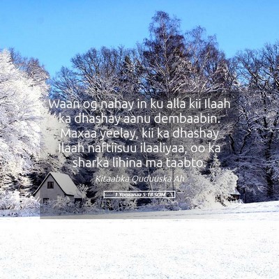 Picture 05 - 1 Yooxanaa 5:18 SOM - Waan og nahay in ku alla kii Ilaah ka dhashay - Bible Verse Picture