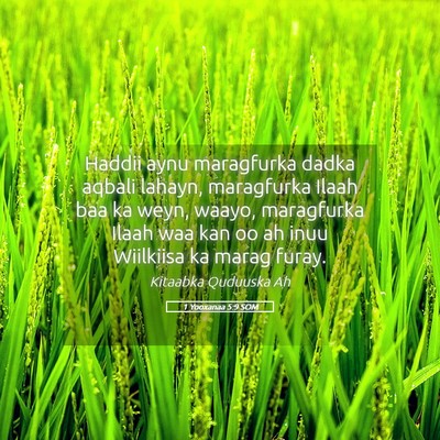 Picture 05 - 1 Yooxanaa 5:9 SOM - Haddii aynu maragfurka dadka aqbali lahayn, - Bible Verse Picture