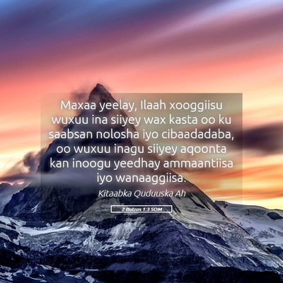 Picture 05 - 2 Butros 1:3 SOM - Maxaa yeelay, Ilaah xooggiisu wuxuu ina siiyey - Bible Verse Picture