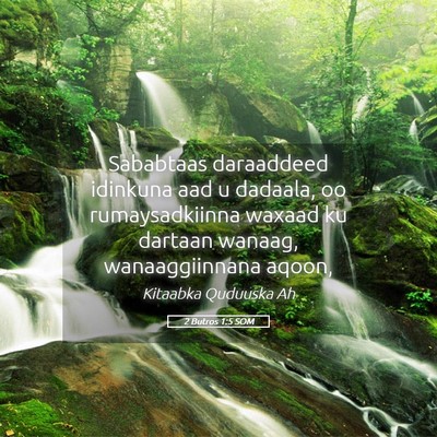 Picture 05 - 2 Butros 1:5 SOM - Sababtaas daraaddeed idinkuna aad u dadaala, oo - Bible Verse Picture