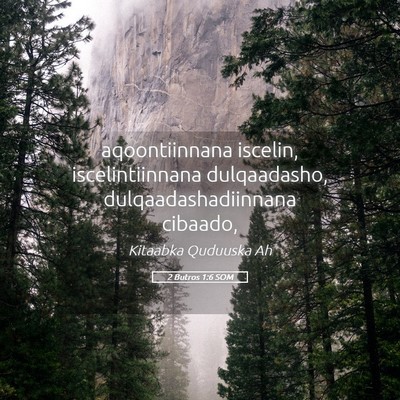 Picture 05 - 2 Butros 1:6 SOM - aqoontiinnana iscelin, iscelintiinnana - Bible Verse Picture