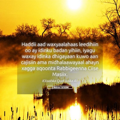Picture 05 - 2 Butros 1:8 SOM - Haddii aad waxyaalahaas leedihiin oo ay idinku - Bible Verse Picture