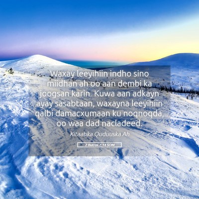 Picture 05 - 2 Butros 2:14 SOM - Waxay leeyihiin indho sino miidhan ah oo aan - Bible Verse Picture