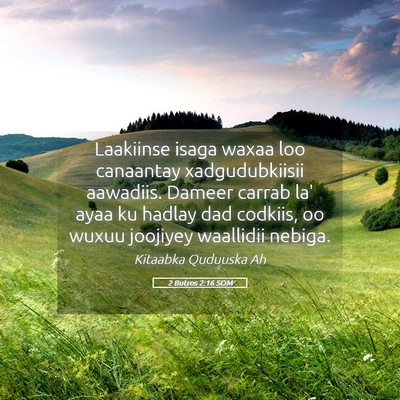 Picture 05 - 2 Butros 2:16 SOM - Laakiinse isaga waxaa loo canaantay - Bible Verse Picture