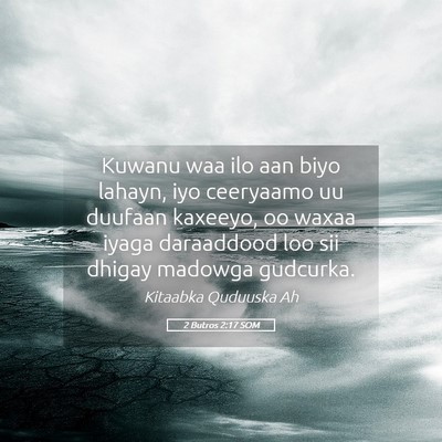 Picture 05 - 2 Butros 2:17 SOM - Kuwanu waa ilo aan biyo lahayn, iyo ceeryaamo uu - Bible Verse Picture
