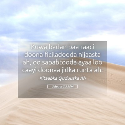 Picture 05 - 2 Butros 2:2 SOM - Kuwa badan baa raaci doona ficiladooda nijaasta - Bible Verse Picture