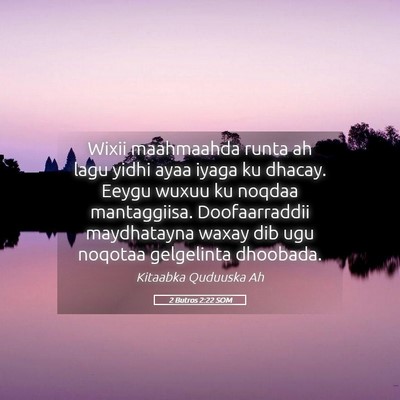 Picture 05 - 2 Butros 2:22 SOM - Wixii maahmaahda runta ah lagu yidhi ayaa iyaga - Bible Verse Picture