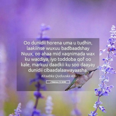 Picture 05 - 2 Butros 2:5 SOM - Oo dunidii horena uma u tudhin, laakiinse wuxuu - Bible Verse Picture