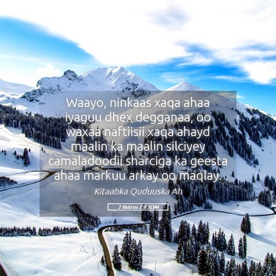 Picture 05 - 2 Butros 2:8 SOM - Waayo, ninkaas xaqa ahaa iyaguu dhex degganaa, oo - Bible Verse Picture