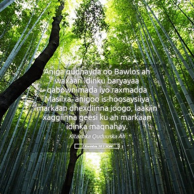 Picture 05 - 2 Korintos 10:1 SOM - Aniga qudhayda oo Bawlos ah waxaan idinku - Bible Verse Picture