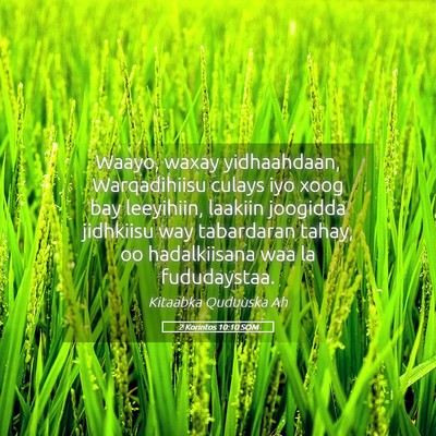 Picture 05 - 2 Korintos 10:10 SOM - Waayo, waxay yidhaahdaan, Warqadihiisu culays iyo - Bible Verse Picture