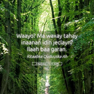 Picture 05 - 2 Korintos 11:11 SOM - Waayo? Ma waxay tahay inaanan idin jeclayn? Ilaah - Bible Verse Picture