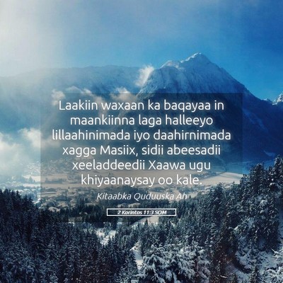 Picture 05 - 2 Korintos 11:3 SOM - Laakiin waxaan ka baqayaa in maankiinna laga - Bible Verse Picture