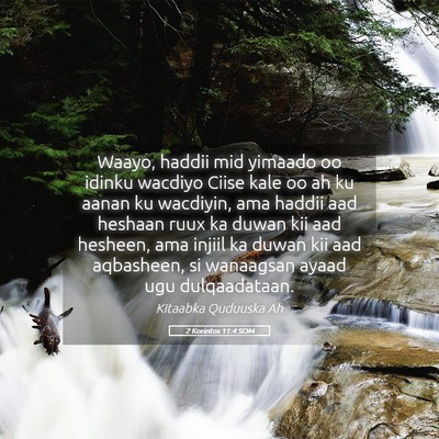 Picture 05 - 2 Korintos 11:4 SOM - Waayo, haddii mid yimaado oo idinku wacdiyo Ciise - Bible Verse Picture